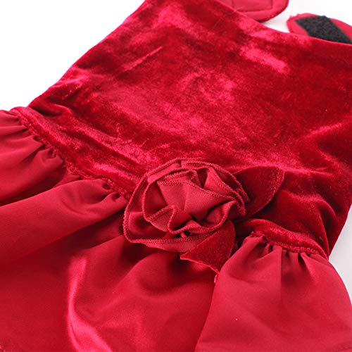 Vestido de ocasión especial para perros medianos de terciopelo miniatura 4