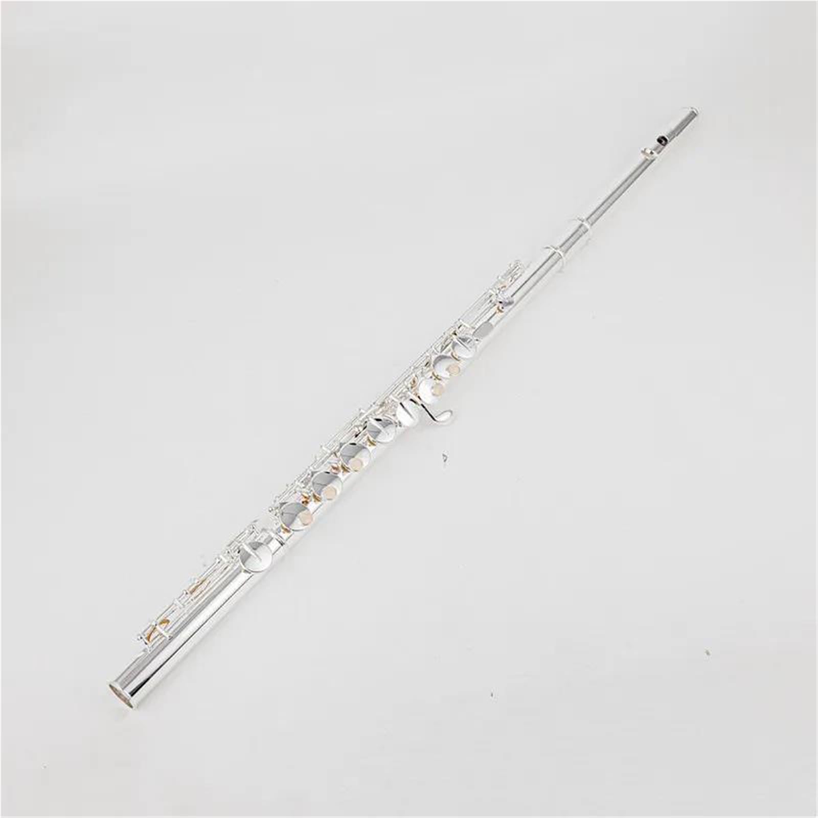 Flauto Flauto contralto G 16 Foro chiuso Strumento professionale argentato con custodia