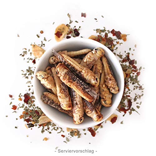 Heuschrecken - essbare Insekten von ’SNACK insects’ - 15g feine Speise-Insekten zum Kochen und Essen