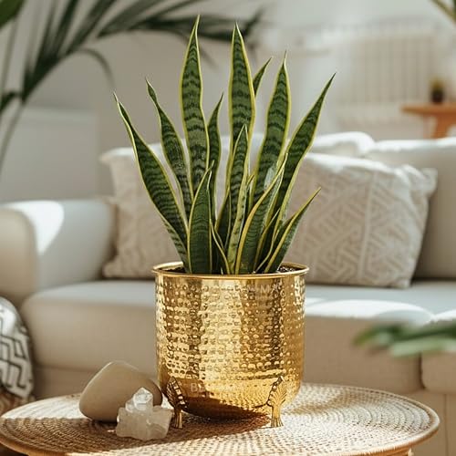 BEHOMA Metal Hammered Planter for Home Decor, Golden | Hammered Metal planter pot in Golden – for potted plants & succulents for living room (6") (Pla