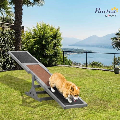 PawHut Hundewippe, Hunde Agility Wippe aus Holz, rutschfest Hunde Agilitäts Rampe für Hunde unter 30 kg, wetterfest Hundetraining Outdoor Hundesport für Balance, 180 x 30 x 30 cm Grau
