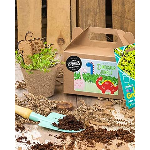 GROWIES | Kids Dinosaur Cress Seed Kit | All Year Growing | Grow Your Own Dino Jungle | Kids Party Bag | Plastic Free Cover