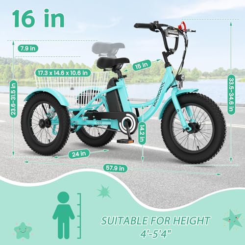 LILYPELLE Electric Tricycle for Youth, 250W Aluminum Frame