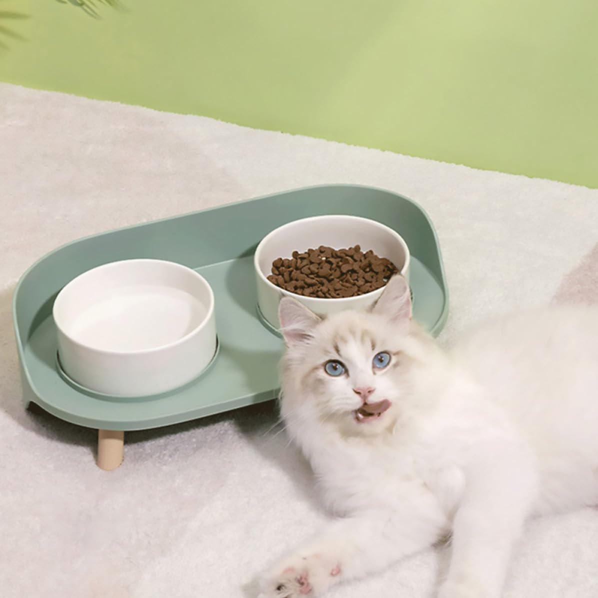 Katzennapf Keramik mit Nackenstütze, Doppelte Schüssel, Grün