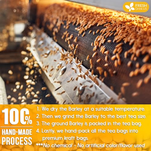 Image of FreshDrinkUS Premium 120 Barley Tea Bags, 100% Natural & Pure. Loose Barley Herbal Tea. Made with Natural Material Tea Bags. No Sugar, No Caffeine, No Gluten, Vegan
