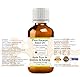 Greenwood Essential Naturreine Karanja-Samenöl (Pongamia pinnata) Kaltgepresst 100ml (3.38 oz)