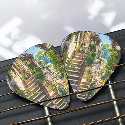 Médiators de guitare 12-Pack Italie Médiators de guitare toscane pour guitare électrique Guitare acoustique Diverses… - Les Beatles, Paul McCartney, John Lennon, RIngo Starr, George Harrison Médiators de guitare 12-Pack Italie Médiators de guitare toscane pour guitare électrique Guitare acoustique Diverses… – Image 7