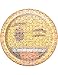 Emoji 9" Plates