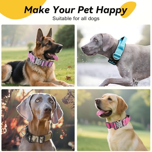 Viugex Taktisches Hundehalsband, Weich Gepolstertes Nylon Hunde Halsband, Langlebig, Premium-Qualität, Verstellbare Hundehalsbänder mit Metallschnalle für Mittlere Große Hunde (Schwarz, M)