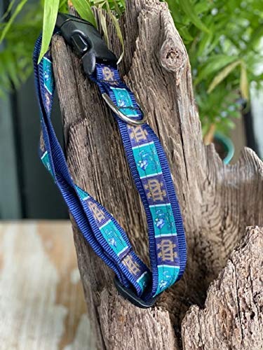 college football dog collars