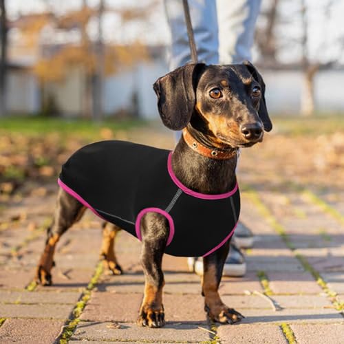 Hjyokuso Dackel Pullover - Fleece Hundepullover, Kleidung Für Kleine Hunde, Dachshund Sweater