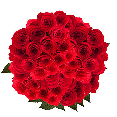 100 Red Roses