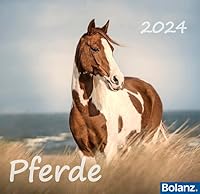 Algopix Similar Product 11 - Horses 2024