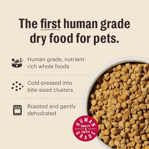 Image of The Honest Kitchen Human Grade Dry Cat Food, Whole Food Clusters Grain Free Chicken Dry Cat Food, 4 lb Bag