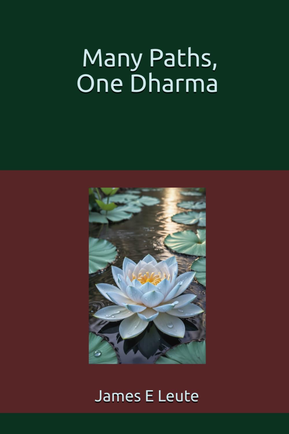 Many Paths, One Dharma      Paperback – December 27, 2025