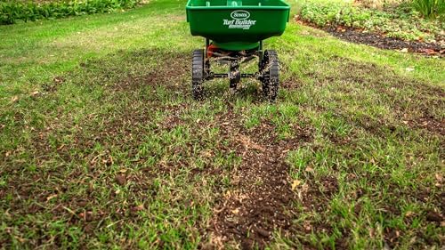 Scotts Turf Builder Quick + Thick Tough & Resilient Grass Seed Mix, 1.2kg (167 sq Meters / 1,805 sq feet Coverage) | Resilient Mix for Active Yards, Pets & Pests - 4