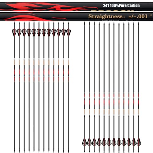 sanlida 24 PCs, 100% Pure Carbon, 0.001'' Straightness, Dragon 10 Flagship 24T Carbon Hunting Arrows...