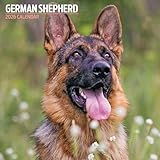 Deutscher Schäferhund 2026 Traditioneller Kalender