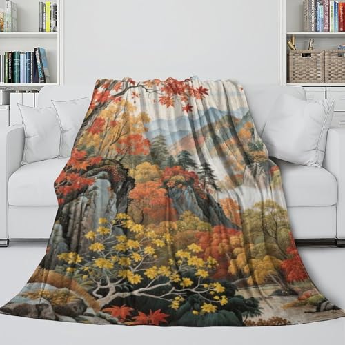 Plaid microfibre moelleuse 180x200cm pour lit double toutes saisons - 5