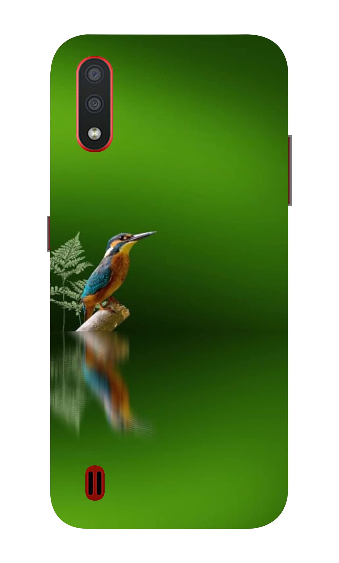 Designer Back Case Cover for Samsung Galaxy M01 | Alcedo Atthis Ebird |