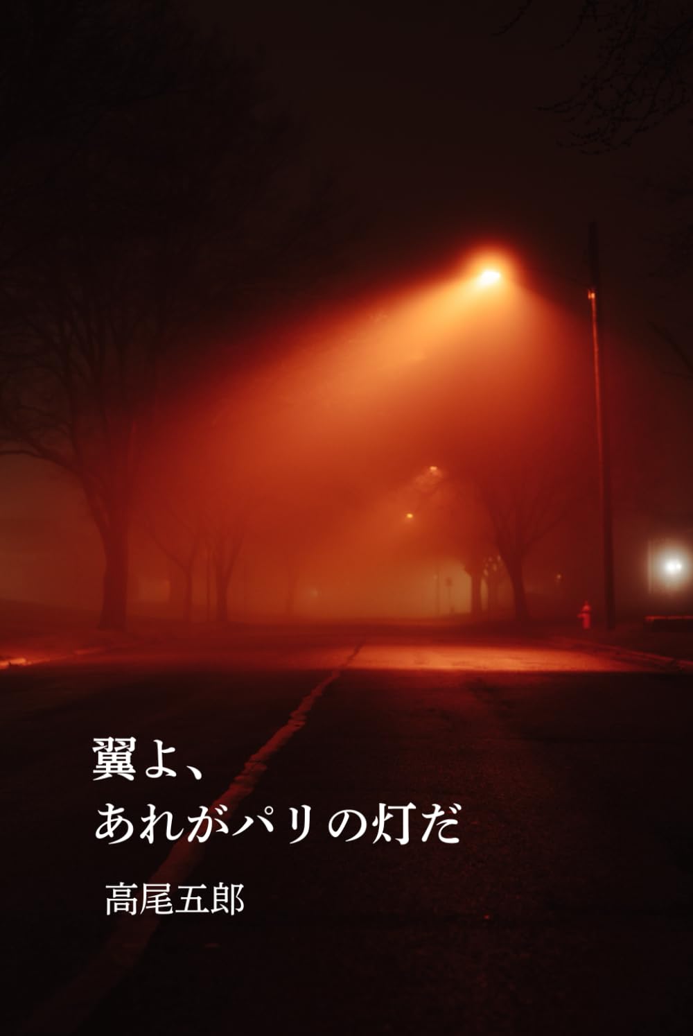 翼よ、あれがパリの灯だ