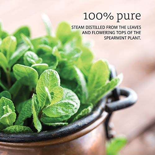 Aceite de Spearmint NOW 1 Onza Pack de 2 miniatura 3
