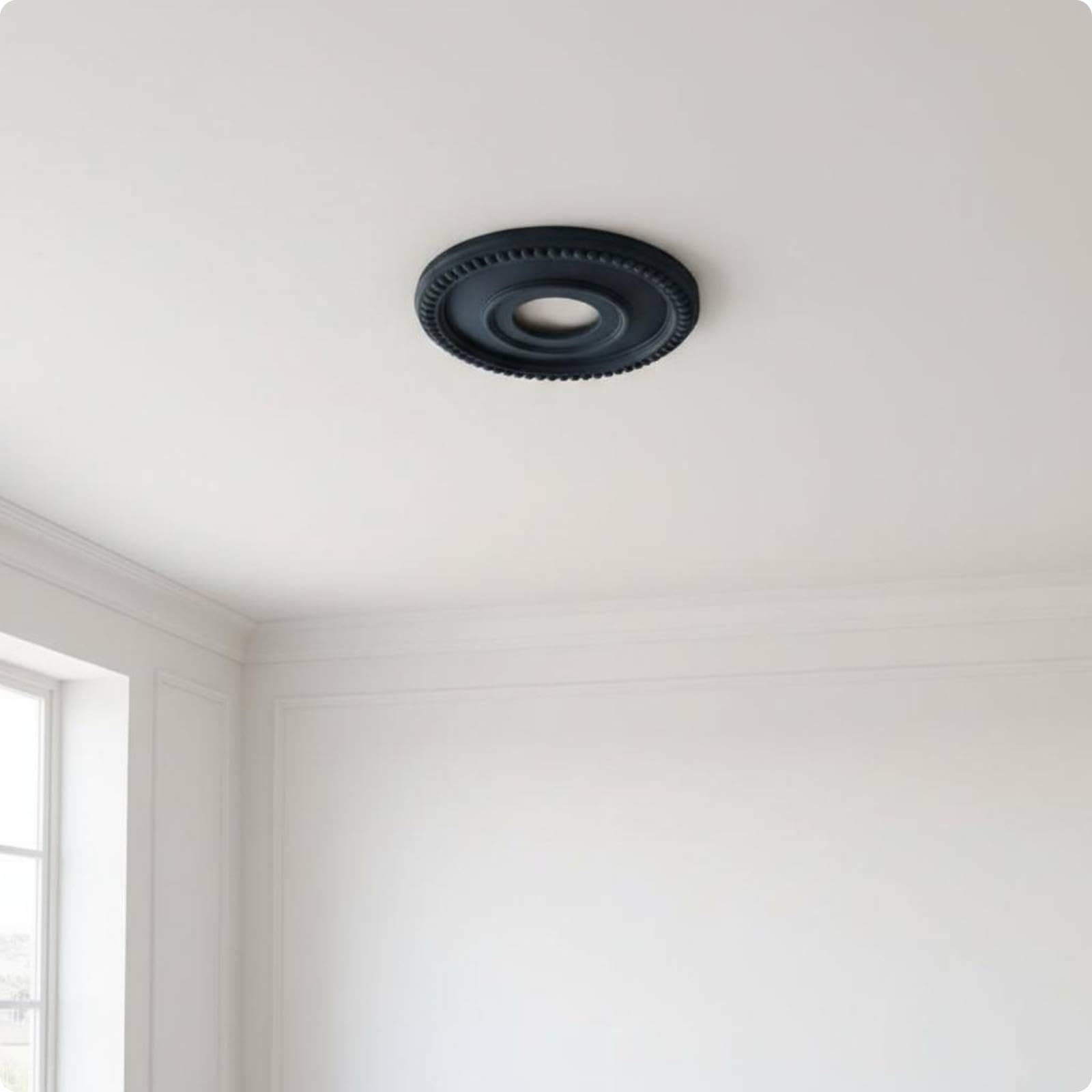 Overhead Medallion Concentric Rings Overhead Lamp Plate Beaded Border Chandelier Plate Outer 315CM Inner a-picture-19