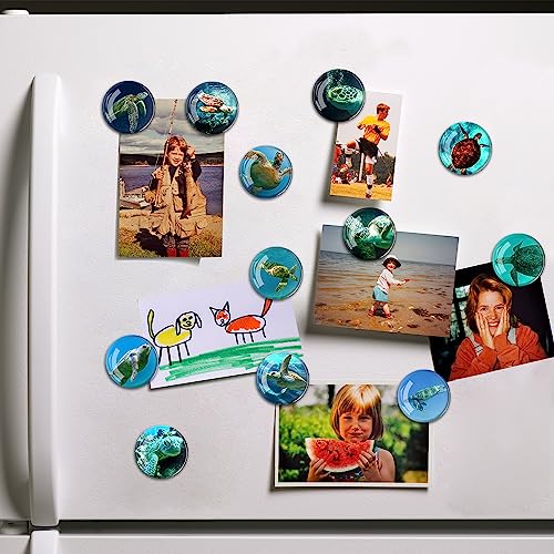 Imanes decorativos animales para refrigerador, pack 12 piezas miniatura 6