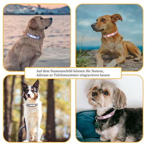 Reflektierend Halsband für Hunde aus Leder Personalisierte Hundehalsband mit Namen Gravur Hellbraun Halsband mit Namenschild für den kleinen Hund, Hundehalsbänder S