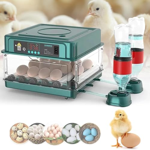Incubadora Huevos Gallina, Incubadora Automática de 10/16/24/36 H...