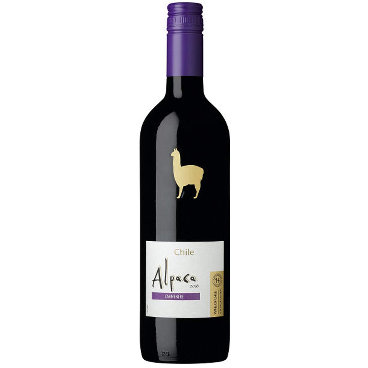Amazon.co.jp: 極旨ワイン アルパカ ソーヴィニヨン・ブラン