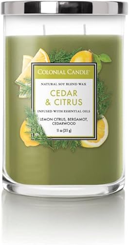 Vista 105 de Colonial Candle Vela perfumada en frasco, cilindros clásicos, brillo navideño, 2 mechas, 19 onzas, morado