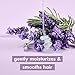 Love Beauty and Planet Smooth and Serene Argan Oil Shampoo For Frizz Control Argan Oil & Lavender Sulfate Free 13.5 oz