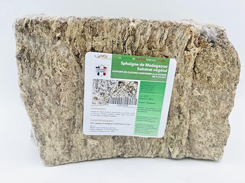 500gr Sphaigne de Madagascar – Support de Culture végétal Naturel – Retient l’Eau – Idéal orchidées, semis, terrariums, kokedamas - Conforme à la Norme NF U 44-551