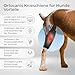 Ortocanis - Kniebandage Hund Hinterbein für das rechte Bein - Hergestellt aus Neopren ARD - Bei Kreuzbandriss, Bänderverletzungen, Patellaluxation oder Osteoarthritis - Größe X-Large (14,2-16')
