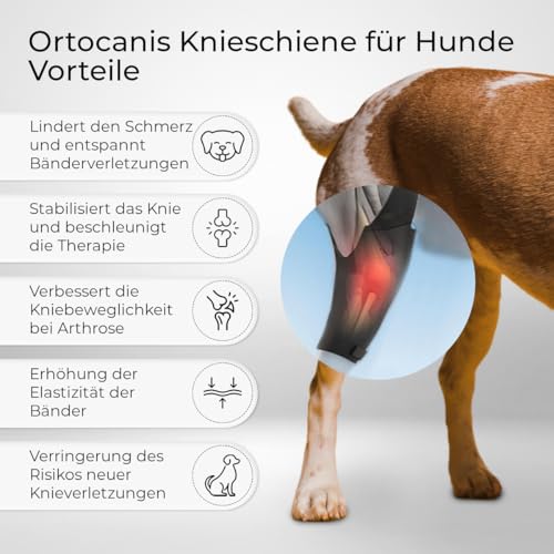 Ortocanis - Kniebandage Hund Hinterbein für das rechte Bein - Hergestellt aus Neopren ARD - Bei Kreuzbandriss, Bänderverletzungen, Patellaluxation oder Osteoarthritis - Größe X-Large (14,2-16')