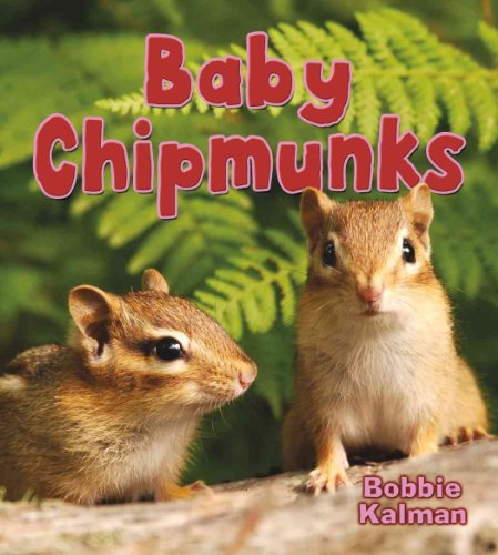 Baby Chipmunks (It's Fun to Learn about Baby Animals)
