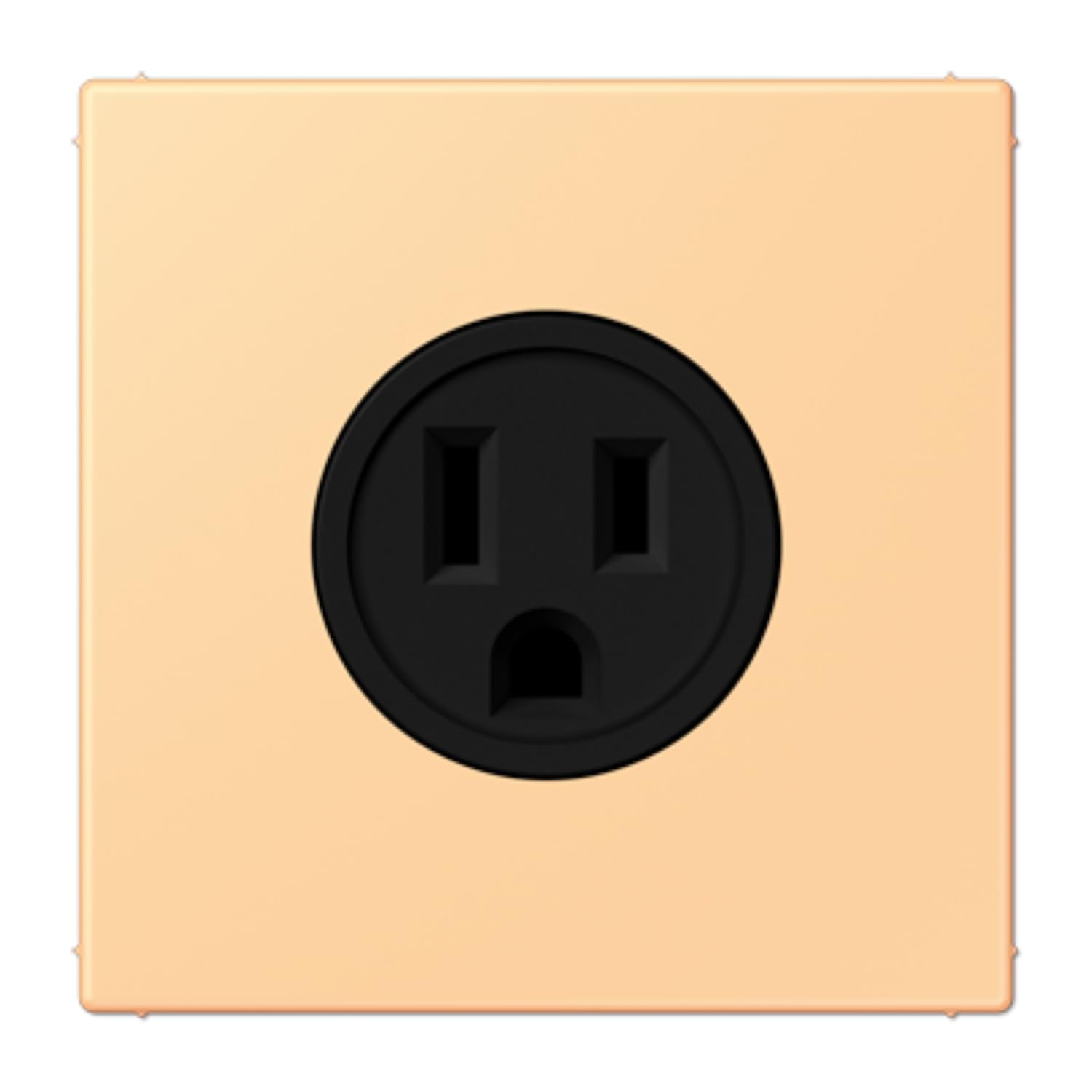 Prise US-NEMA LC4320P connecteur JUNG LC521-15258 alimentation américaine