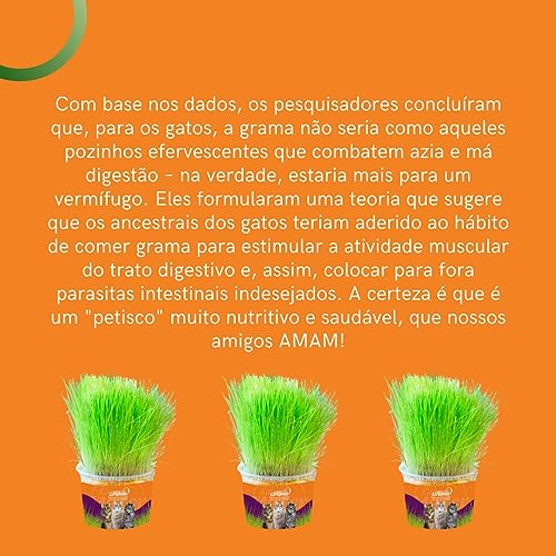 Mister Grama - Litter made from grass - 1 Unidade - Dono de animais de estimação
