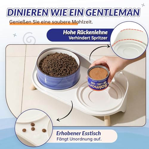 Hunde Napfset Hundenapf Set Erhöht - Doppelnapf Keramik mit Spritzschutz Ständer - Bunte Spirals Hundenäpfe für Futter und Wasser - Ideal für Kleine bis Mittelgroße Hunde - 2 x 800 ml - Blau