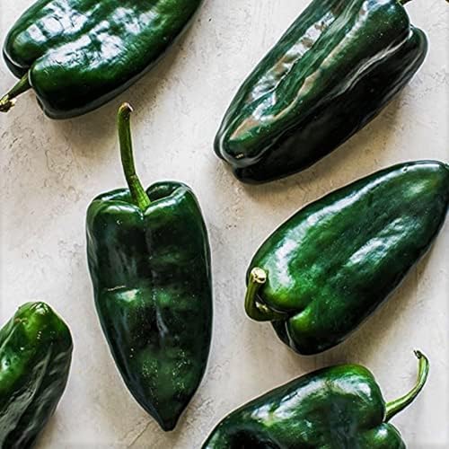 Poblano Pepper Seeds - 100 Count Seeds - Mild Heat Rich Flavor - Perfect for Chiles Rellenos. Pablano Peppers Will Produce Mildly hot Peppers - Country Creek LLC