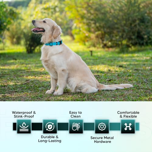Image of Adil's Biothane Waterproof Dog Collar, Dog Leash & Collar Leash Combo | Heavy Duty TPU Coated Webbing | Adjustable Quick Release Buckle | Odour Resistant (Light Sky, M-18, Collar only)