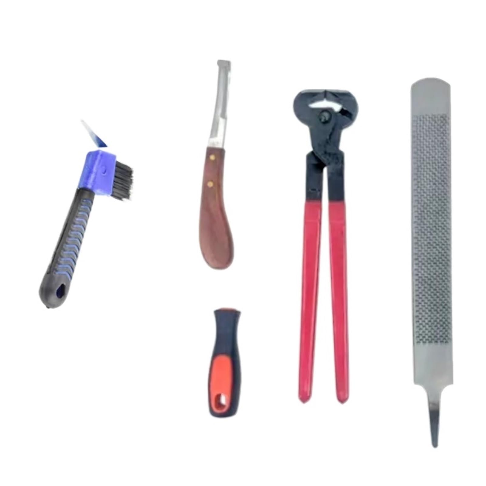 Herramientas Farrier, Juegos De Recorte Herradura 16-14 Pulgadas, Contienen Cepillo For Cuchillos Pinza Caballo Con Escofina For Pezuñas, Hor Profesional 5 En 1(14in)