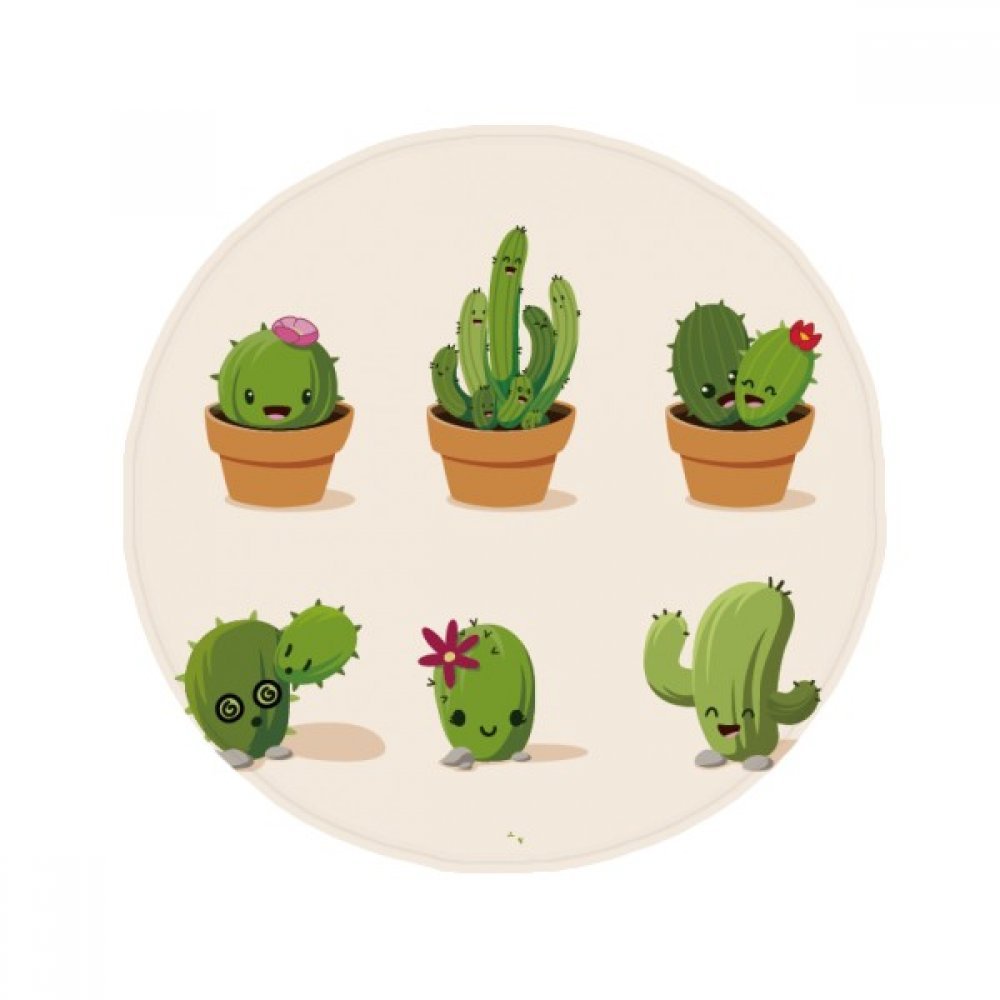 Tapis de douche antidérapant cactus et succulentes idéal pour sol humide de salle de bain