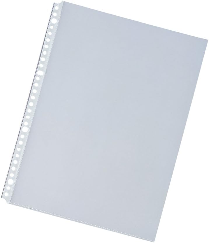 Lihit Lab G3805-14 Clear Book, Replaceable A4, 30 Holes, 20 Pockets, Water