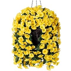 Yellow Morning Glory