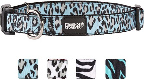 friends forever dog leash