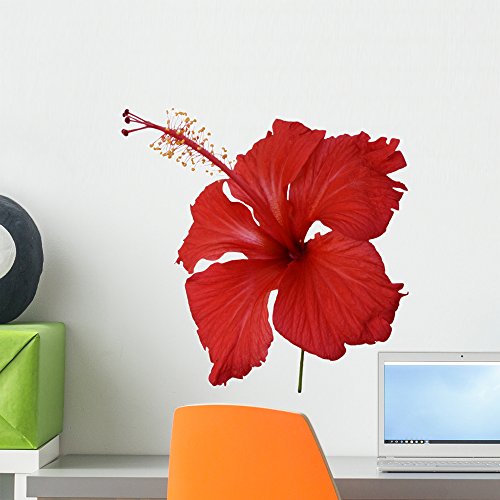 Wallmonkeys Red Hibiscus Flower Wall Decal Peel And Stick Floral Graphic (18 In W X 17 In H) Wm282011