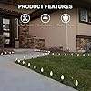100 Pack Christmas Light Stakes, 4.5 Inch Lighting Stakes for C7 C9 Christmas Lights Outdoor, Yard Stakes,Garden,Lawn,Pathway, Patio, Path, Walkway, Christmas Decoration Black #4