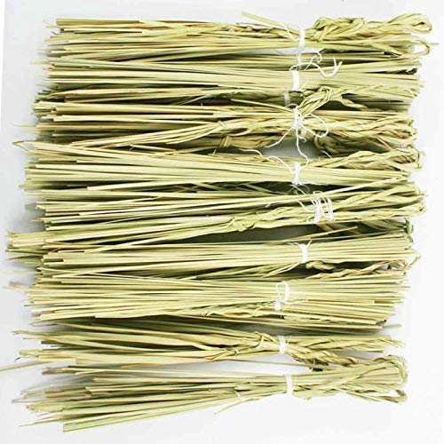 Largest Sale Sacred Kusha Grass Darbha Grass Halfa Grass 30 Pcs with